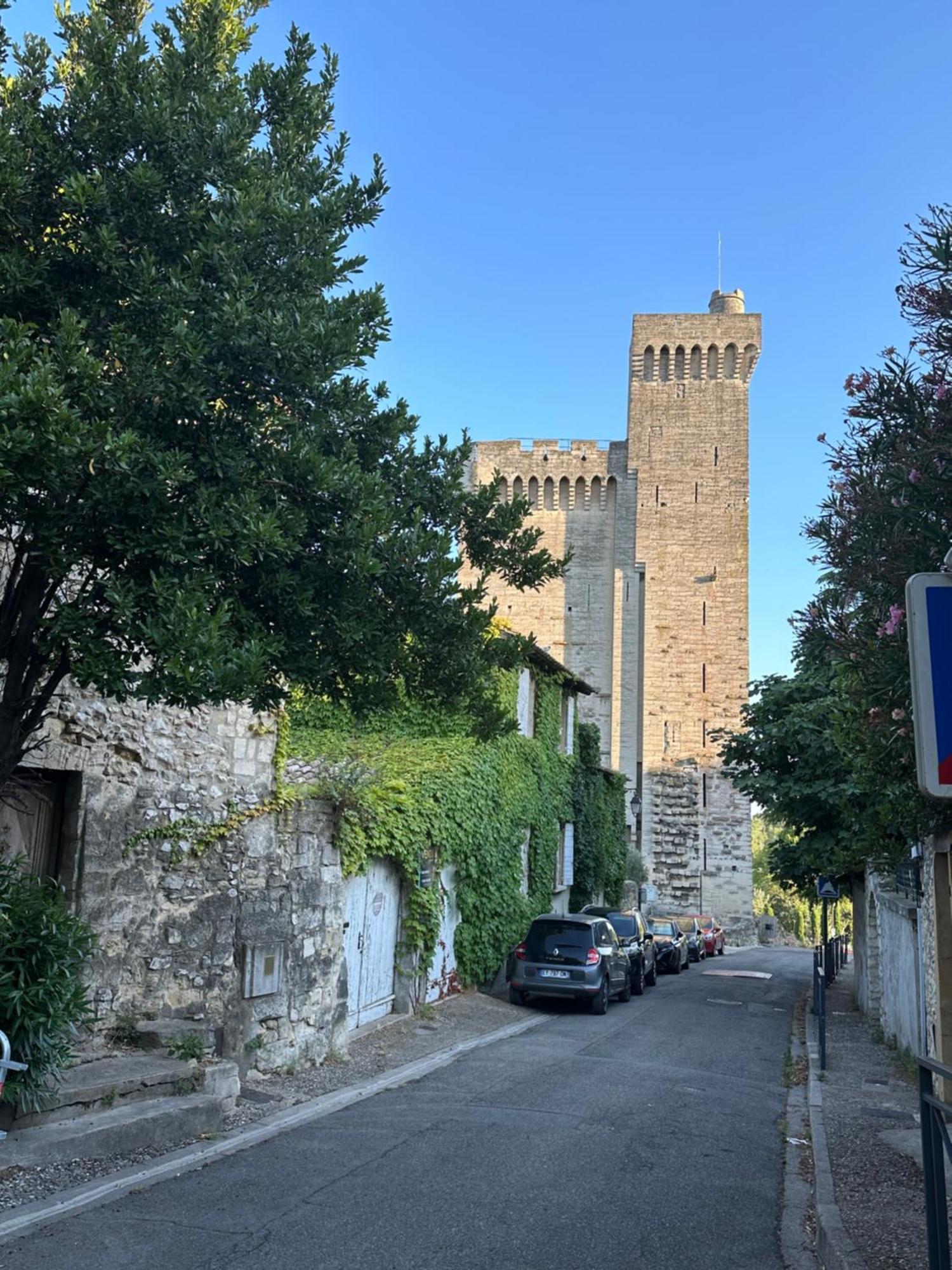 Charmante Petite Maison Avec Vue Panoramique, En Centre Historique, Proche D'Avignon, Ancienne, Renovee, Climatisee, Terrasse, Parking Public Gratuit Villeneuve-lès-Avignon Exterior foto