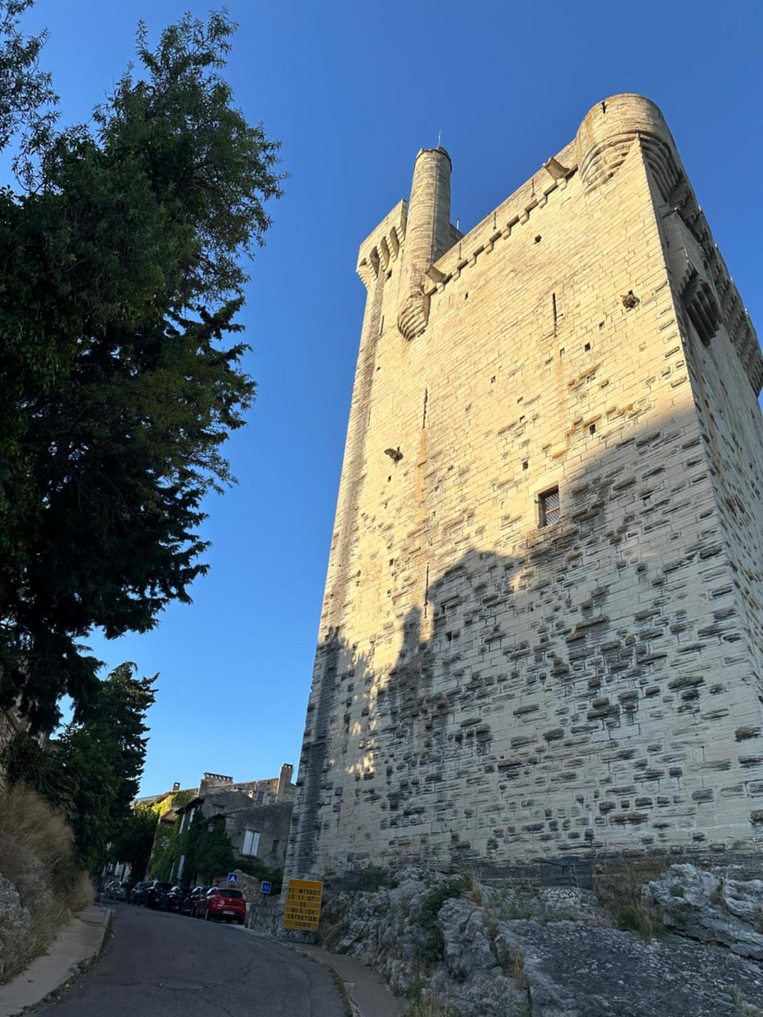 Charmante Petite Maison Avec Vue Panoramique, En Centre Historique, Proche D'Avignon, Ancienne, Renovee, Climatisee, Terrasse, Parking Public Gratuit Villeneuve-lès-Avignon Exterior foto